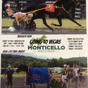 Going to Vegas- winner photo-monticello