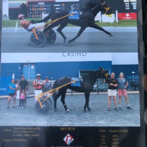 Sky Box-Plainridge-Win Photo