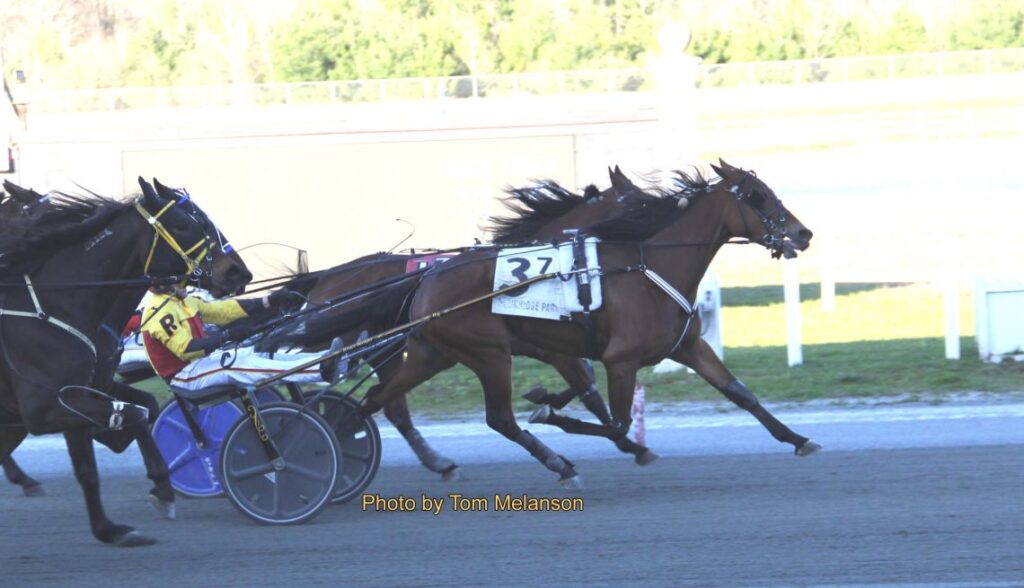 Enola at Plainridge Park-win