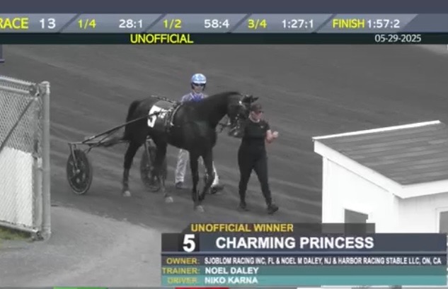 Charming Princess-1